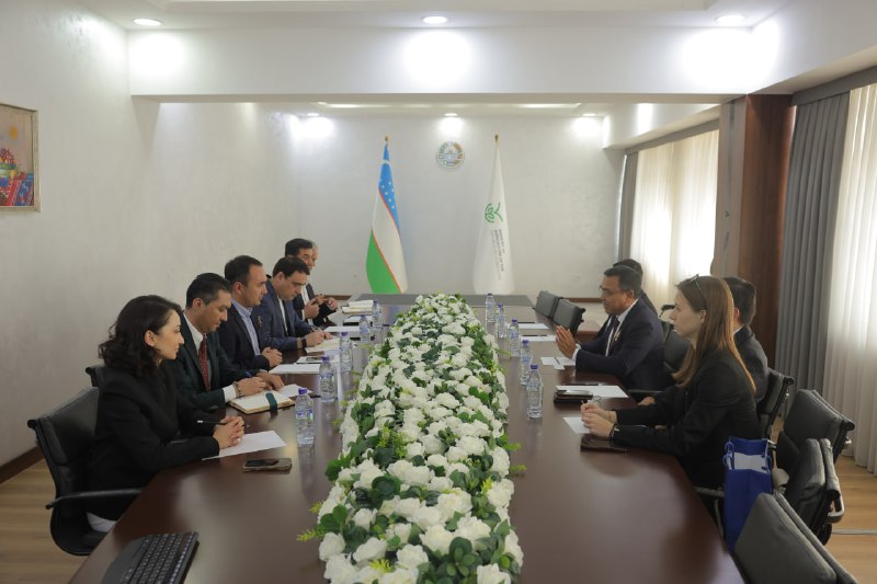 O‘zbekiston va Tailand kompaniyasi o‘rtasida investitsiyaviy hamkorlik istiqbollari muhokama qilindi