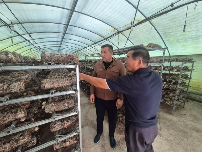Hamkorlik istiqbollari muhokama qilindi