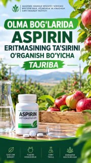 Olma bog'larida aspirin eritmasining ta'sirini o'rganish bo'yicha tajriba boshlandi