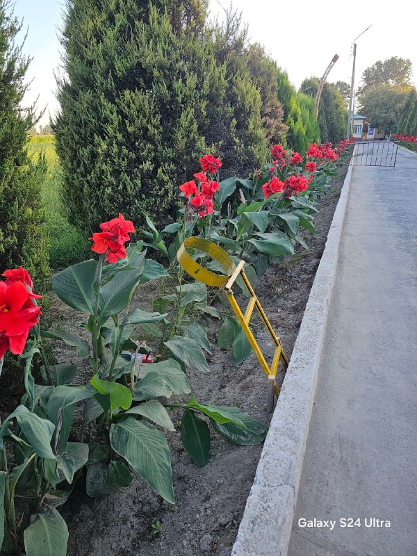 Ekologik madaniyat va tozalik-doimiy e'tiborda!