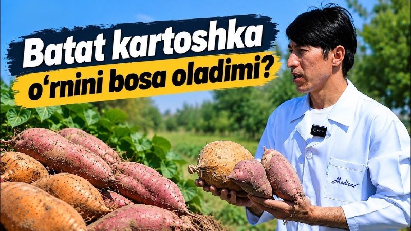Может ли сладкий картофель заменить картофель?