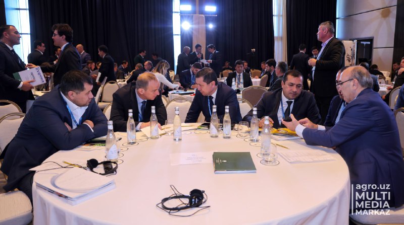 Узбекистан_Венгрия #Бизнес_форум #B2B_G2B #Самарканд
