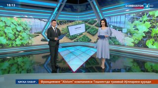 Факт 24 | 1 миллион туп данаксиз ва совуққа чидамли узум кўчатлари етиштирилди