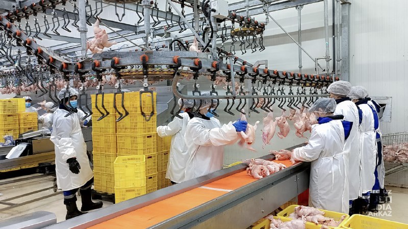 VENGRIYA DELEGATSIYASI A’ZOLARI TOSHKENT VILOYATIDAGI PARRANDACHILIK FABRIKASIGA TASHRIF BUYURDI