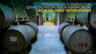 FRANSIYA VA O‘ZBEKISTON QISHLOQ XO‘JALIGIDA HAMKORLIK: UZUM YETISHTIRISH VA VINOCHILIK