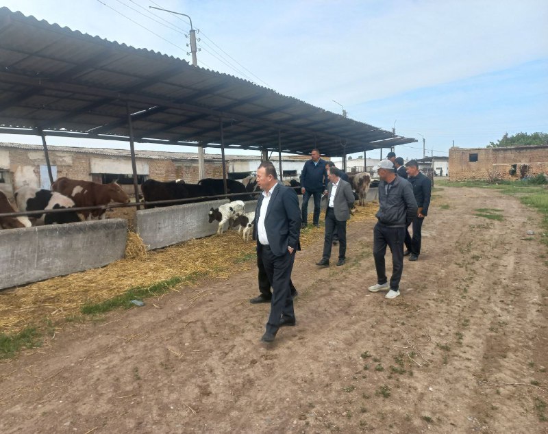 Qishloq xoʼjaligi vazirligi huzuridagi Qishloq xoʼjaligida bilim va innovatsiyalar Milliy markazi Bosh direktori oʼrinbosari - Ilmiy tadqiqotlar majmuasi rahbari Fahriddin Dehqonovich Qirgʼizboyev…