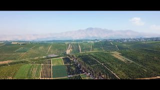 Jannatmakon bu yurtimizda eng ajib, eng totli meva-yu sabzavotlar yetishtiriladi. Bu zaminning ko‘zni quvnatar naqsh olma-yu anorlari, boldan-da shirin uzumlarini yemabsiz, dunyoga kelmabsiz. Mana…
