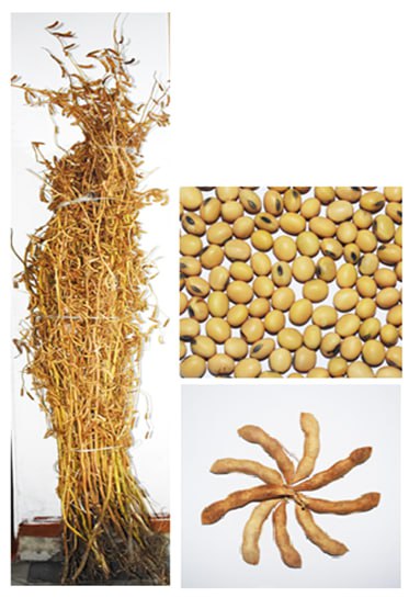 Agrofakt