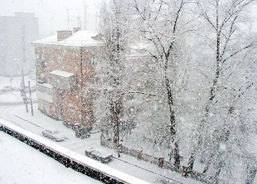 Agrotavsiya