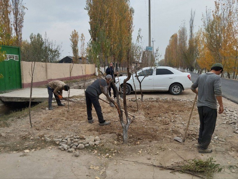 "Yashil makon"