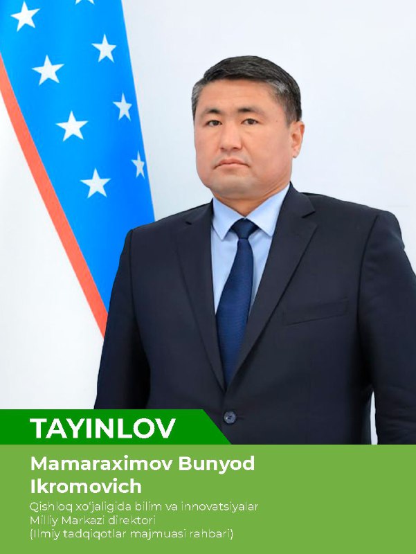 Tayinlov