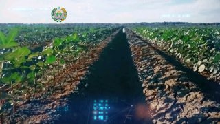 O'zbekiston Respublikasi Qishloq xo'jaligi vazirligi xodimlarining “O‘zbekiston Respublikasi qishloq xo‘jaligi xodimlari  kuni – “Hosil bayrami” sana munosabati bilan sohaning zalvorli yukini o‘z…