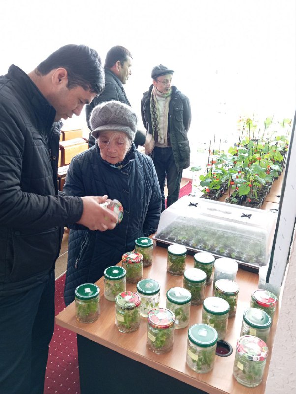 Akademik Mahmud Mirzayev nomidagi bog'dorchilik, uzumchilik va vinochilik ilmiy-tadqiqot institutida Yevropa Ittifoqi tomonidan moliyalashtirilayotgan BMTning Taraqqiyot dasturi hamda Qishloq…