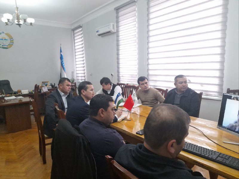 XALQARO HAMKORLIK