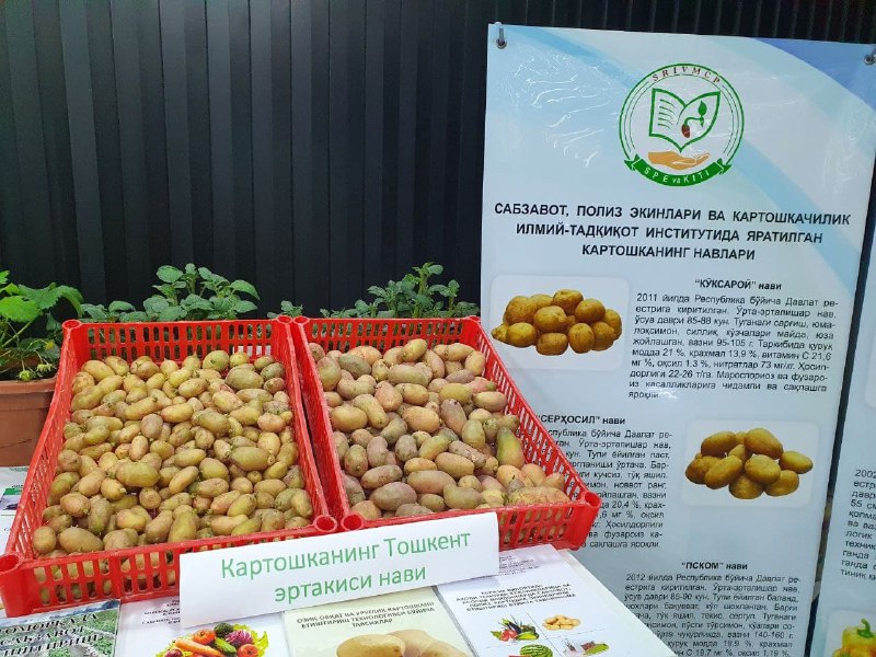 Innovatsion ishlanmalarning Bahorgi Tijoratlashtirish Forumi