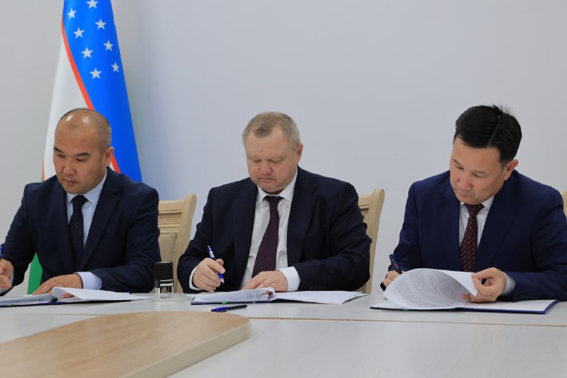Golubika – dunyodagi eng qimmat rezavor mevalardan biri