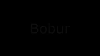 Mumtoz adabiyotning yirik vakili, buyuk shoir, davlat arbobi, sarkarda, Zahiriddin Muhammad Bobur millatimizning eng yorqin vakillaridan biridir.