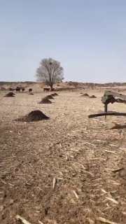Innovatsiya