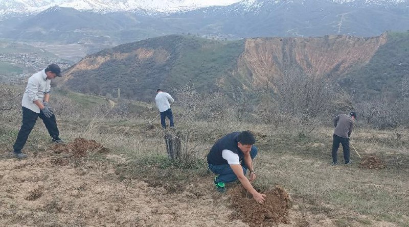 Agrar soha olimlari Bo‘stonliqda bog‘ yaratmoqda