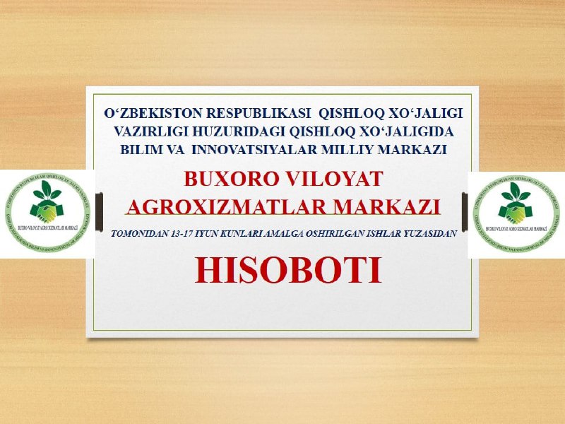 Buxoro davlat unversitetida Turkiya davlati bilan xamkorlikda "Issiqxona kasalliklari va zararkunandalariga qarshi kurash usullari"mavzusida xalqaro o‘quv seminar bo‘lib o‘tdi.