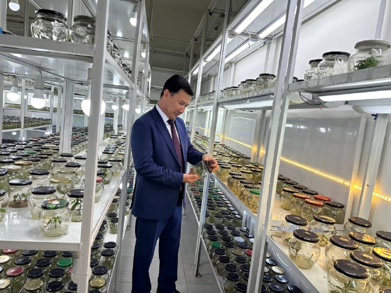 Qishloq xo‘jaligida bilim va innovatsiyalar milliy markazi O'zbekiston Fanlar akademiyasining Bioorganik kimyo instituti bilan kartoshka urug’chiligi bo'yicha hamkorlik olib bormoqda