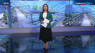 yangilik