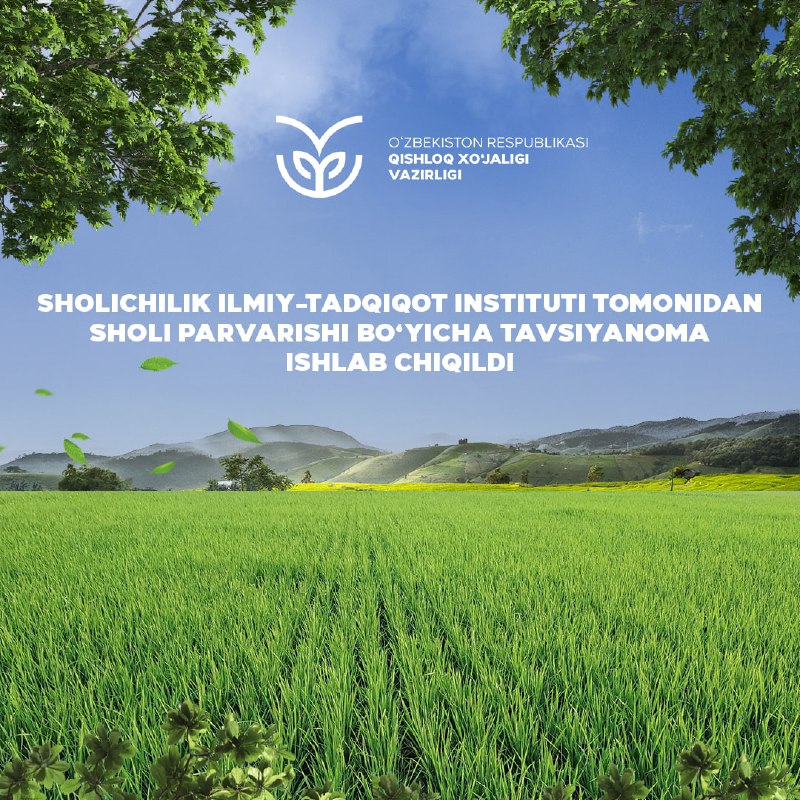 Sholichilik ilmiy-tadqiqot instituti olimlari tomonidan Sholi parvarishi bo‘yicha tavsiyanoma chop etildi.