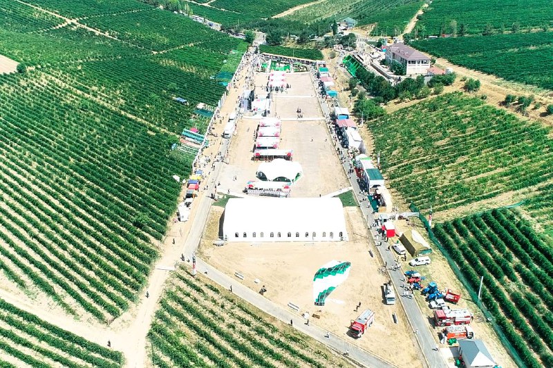 Xabar berganimizdek, Xalqaro "Uzum sayli" festivali doirasida "O‘zbekistonda uzumchilik: innovatsion yondashuv va agrotexnologiyalarni qo‘llashning zamonaviy usullari" mavzusidagi ilmiy-amaliy…