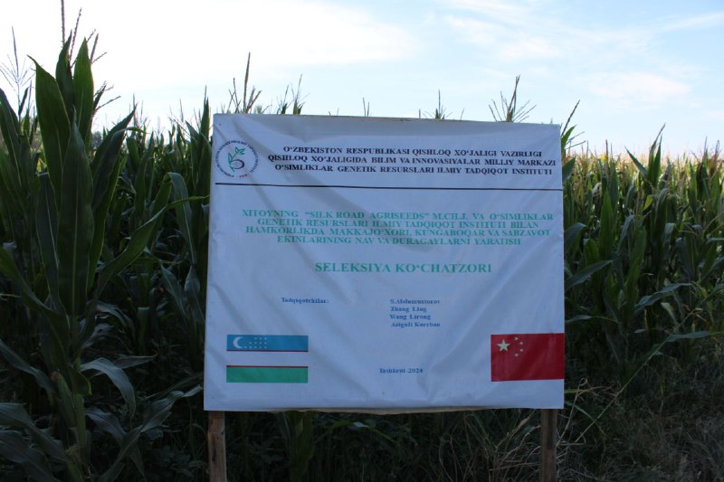 KO'RGAZMALI DALA SEMINARIGA TAYYORGARLIK