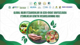 xalqaro_simpozium