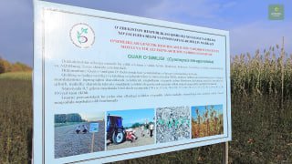 Xabar berganimizdek, O'zbekistonda ilk bor guar o'simligi ustida ilmiy tadqiqot o'tkazildi