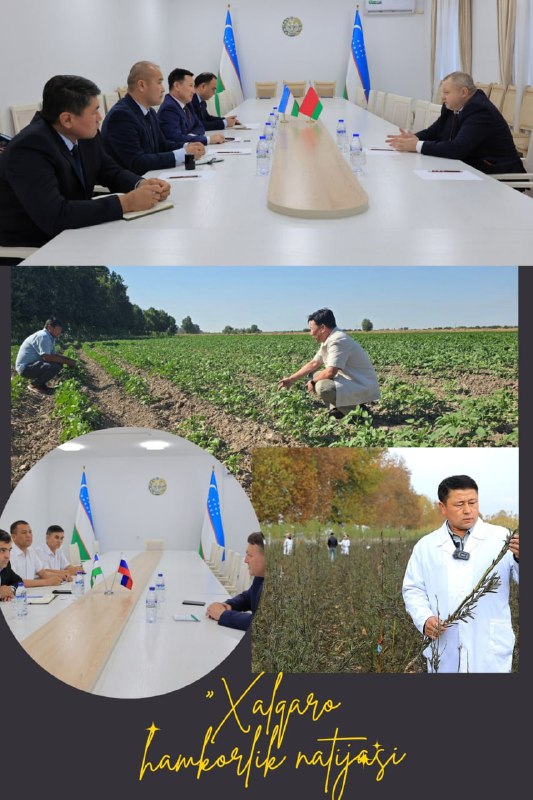 XALQARO HAMKORLIKNING AMALIY NATIJALARI