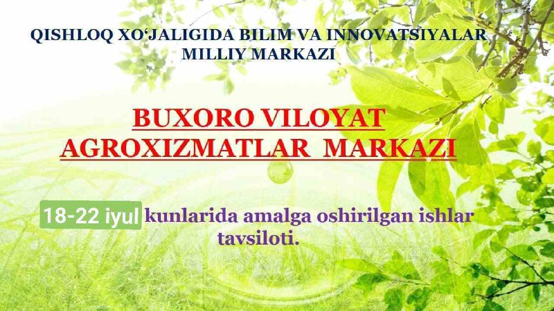 18.07.2022 yil Qorovulbozor tumani Navbahor hududida joylashgan "Davron bobo" fermer xo'jaligi yer maydonida o'rgimchakkanaga qarshi kurashish bo'yicha ko'rgazmali seminar o'tkazildi.