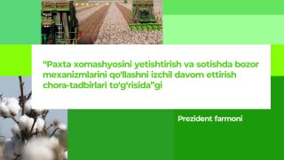 Prezident farmoni: 2025 yil paxta hosili bo‘yicha yangi tartiblar joriy etildi