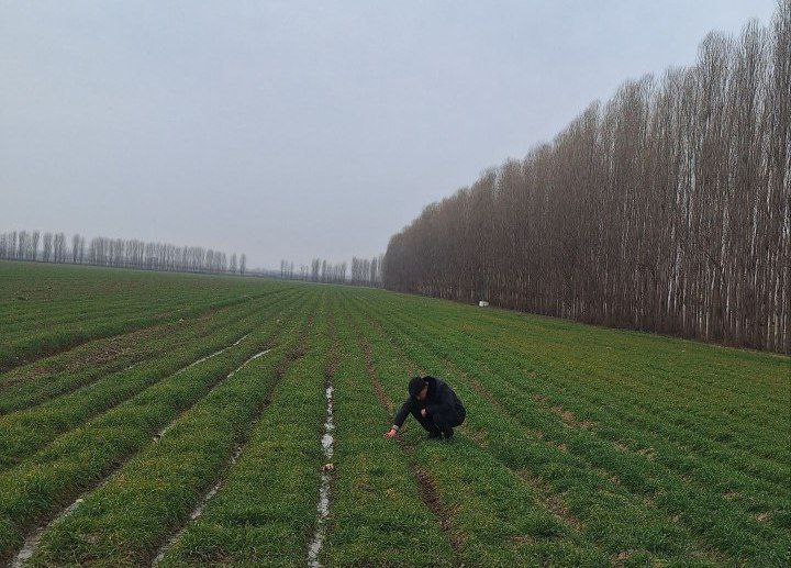 Agro_tavsiya