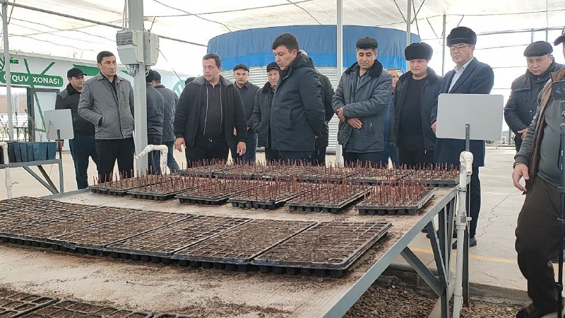 Himoyalangan joylarda ko‘chat yetishtirish texnologiyasi muhokama qilindi