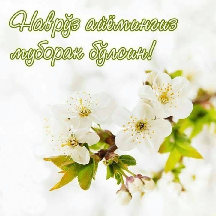 Insoniyat tamadduning qadimiy ayyomi NAVRO‘Z-I OLAM muborak bo‘lsin