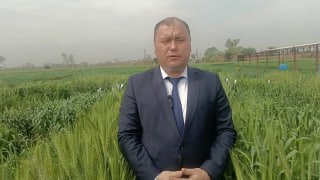 Video_xabar