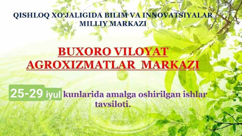 25.07.2022 yil Romitan tumani Sho'rcha hamda Bog'iturkon hududida joylashgan BST klasterining 1-2-uchastkasiga borib, ilmiy amaliy tavsiyalar berildi.
