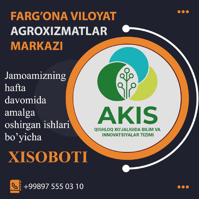 Fargona_hisobot